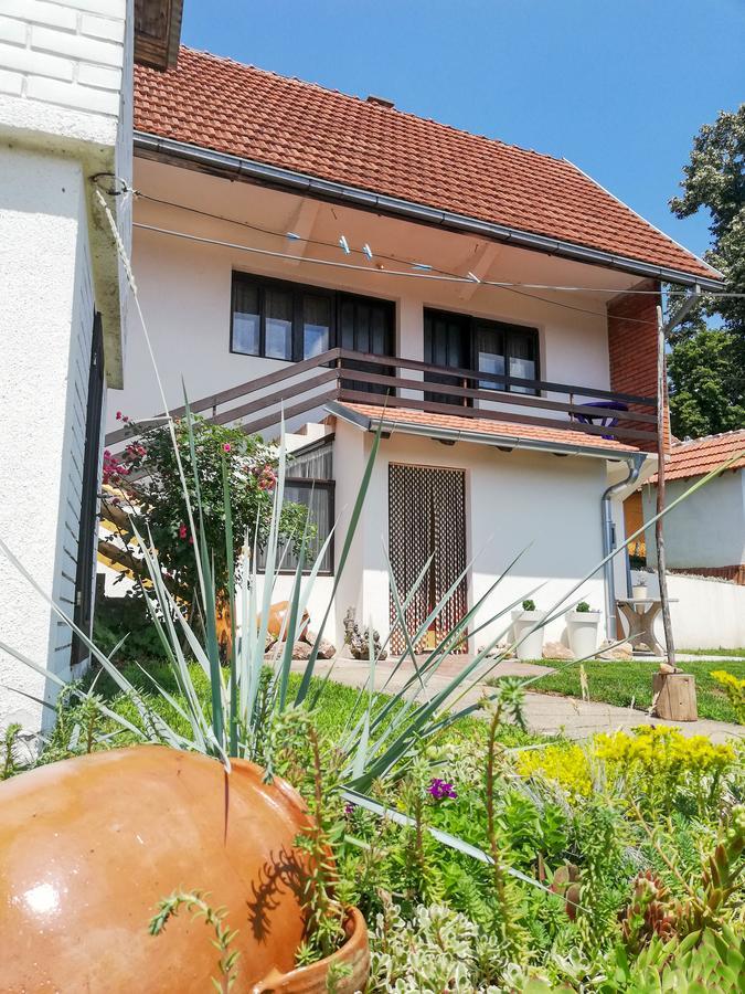 Rtanjski Konak Boljevac Экстерьер фото